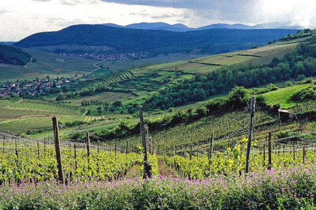 Bestheim