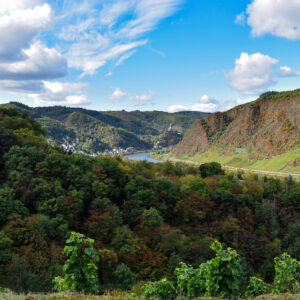 Kloster Ebernach Winery