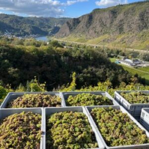 Kloster Ebernach Winery