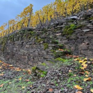 Kloster Ebernach Winery