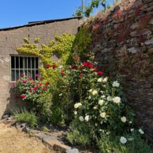 Kloster Ebernach Winery